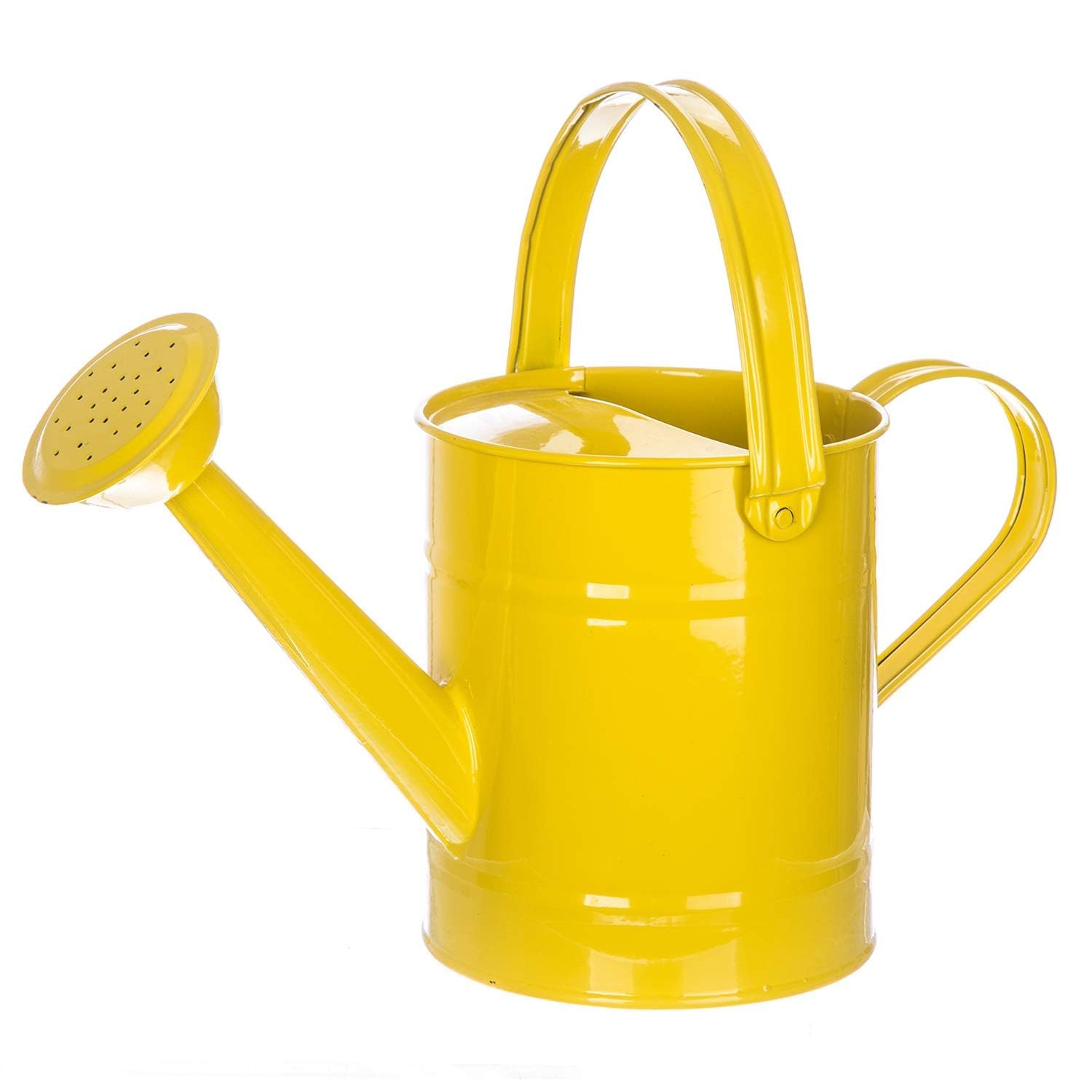 Watering Can for Plants, 55 Oz Metal Watering Can with Removable Spout for Indoor & Outdoor Plants, Long Spout Garden Watering Can, Yellow