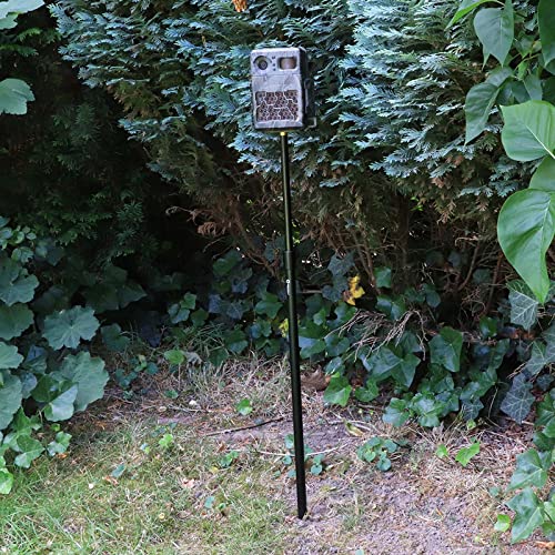 Foto von SECACAM Erdspieß - Bankstick mit 1/4 Zoll Gewinde 70 cm - 110 cm Aluminium Einbein Stativ wasserfest Erdstativ Bodenstativ Wildkamera Stativ Wetterfest