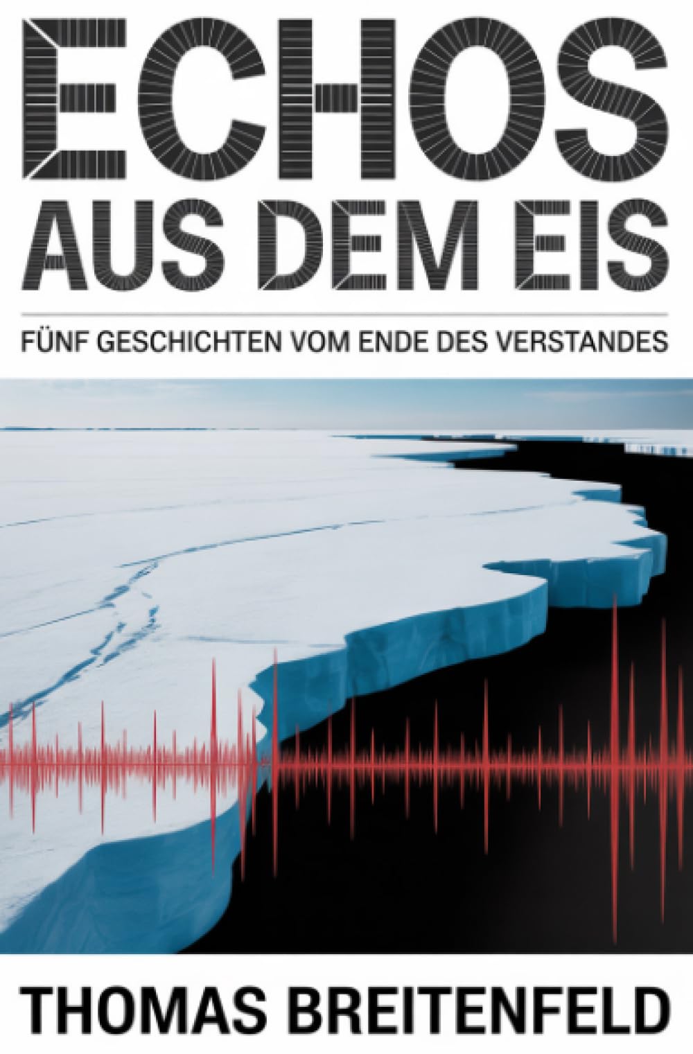 Echos aus dem Eis: Fünf Geschichten vom Ende des Verstandes