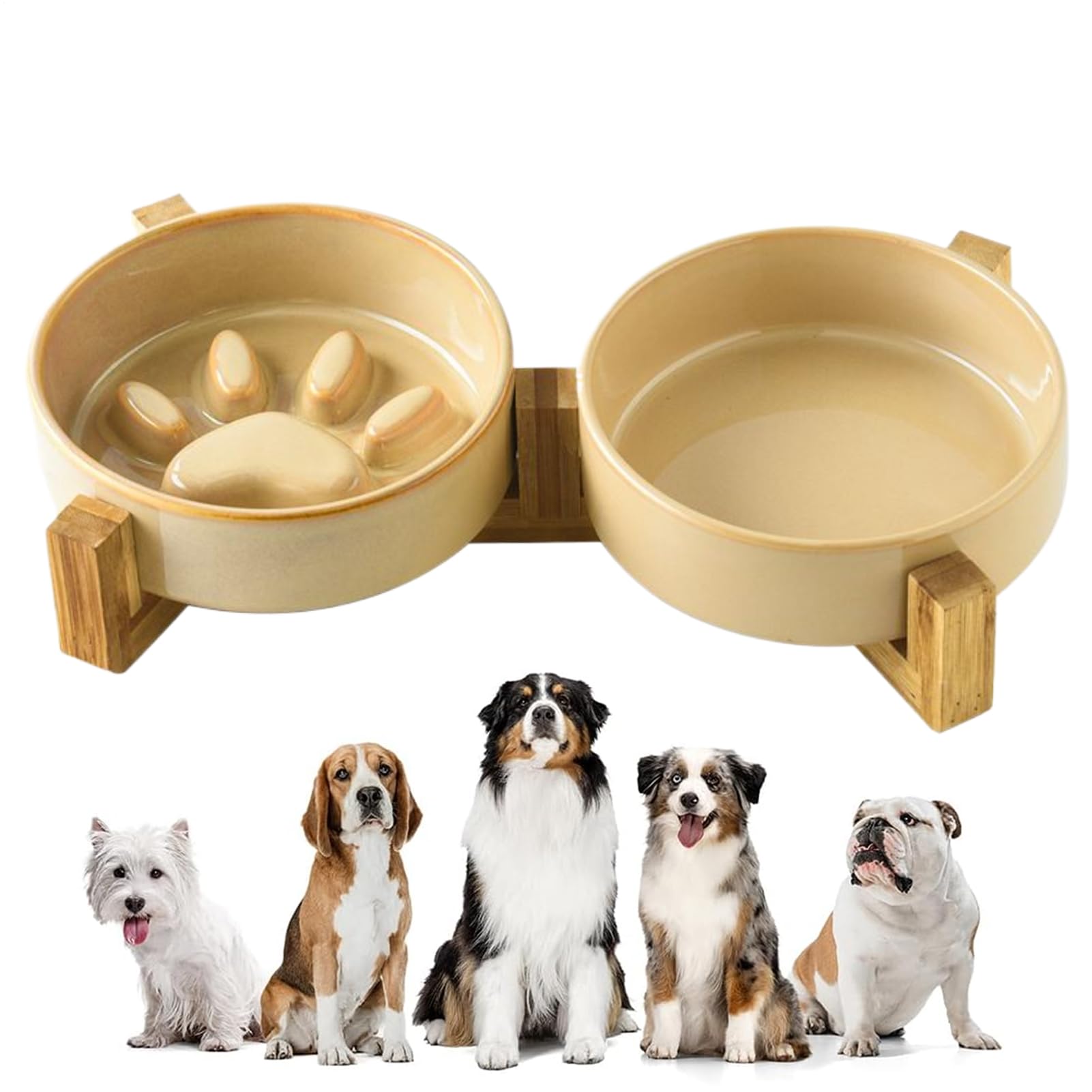 Gamelle pour Chien Anti-Glouton Gamelle Surélevée Chiot Moyen