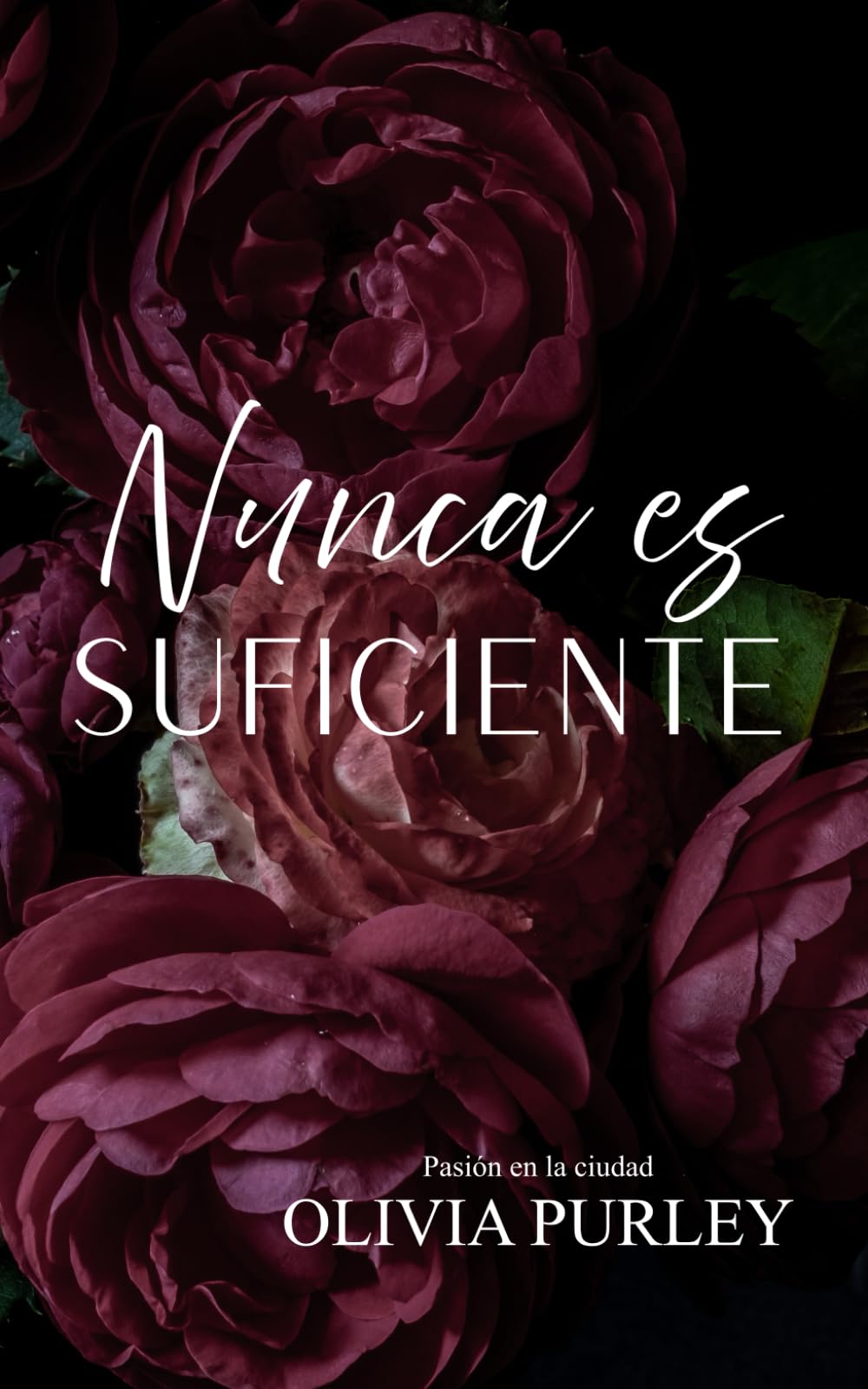 Nunca es Suficiente (Pasión en la ciudad)