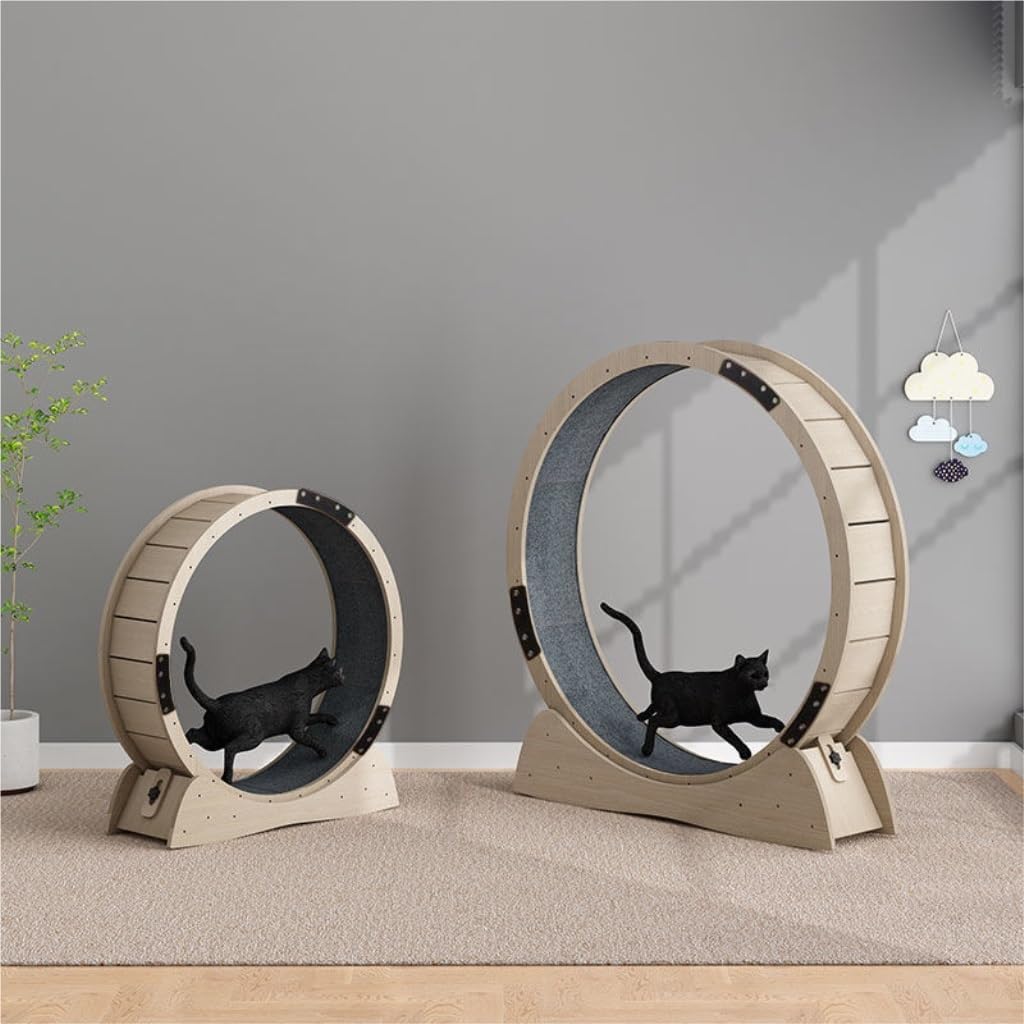 猫のエクササイズホイール 猫用トレッドミル ローラー シャフトレス サイレント 多層 無垢材ボード トラック ローラー フィットネス 猫回し車  猫用トレッドミル ローラー シャフトレス サイレント 多層 無垢材ボード トラック ローラー フィットネス 猫用おもちゃ Amazon ...