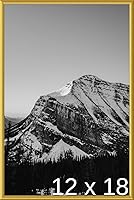 Vista 66 de Frame It Easy Marco de metal rojo de 24 x 36 pulgadas (Hanover)