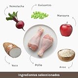 Ver la foto 2
