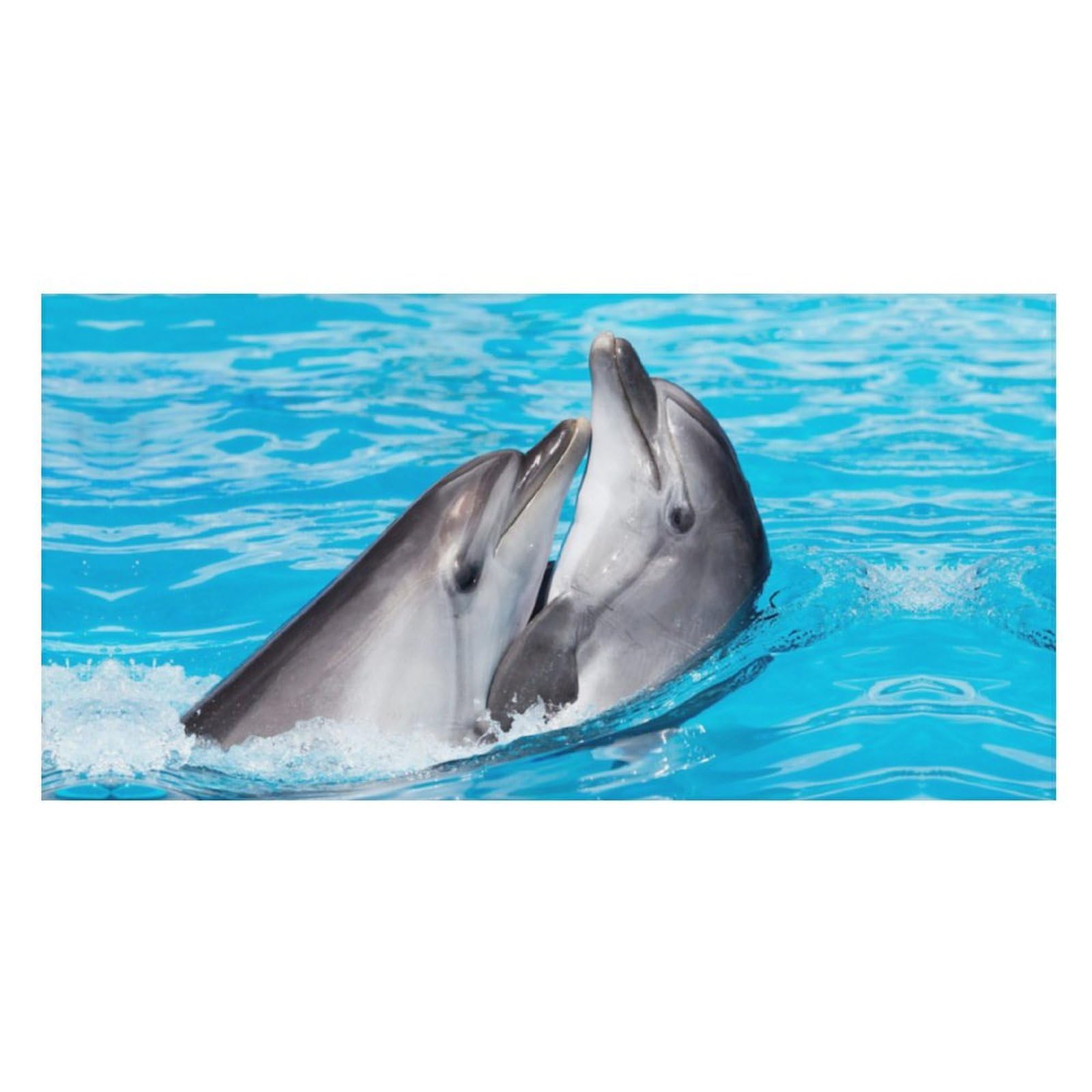 LWORZIIB Beach Towel, Playful Dolphins Bath Towel, Pool Towel Great for Gym Swimming 80 X 160cm