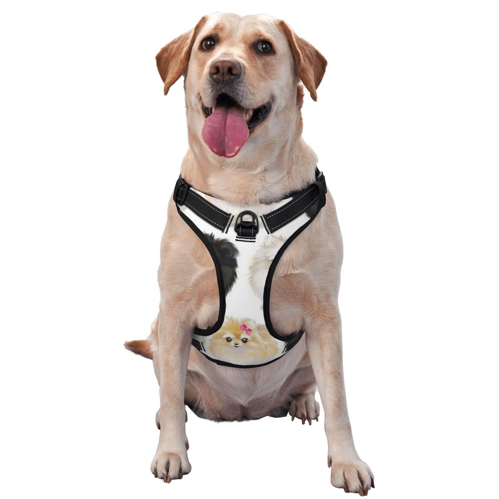 Harnais réfléchissant réglable pour chien : motif Poméraniens