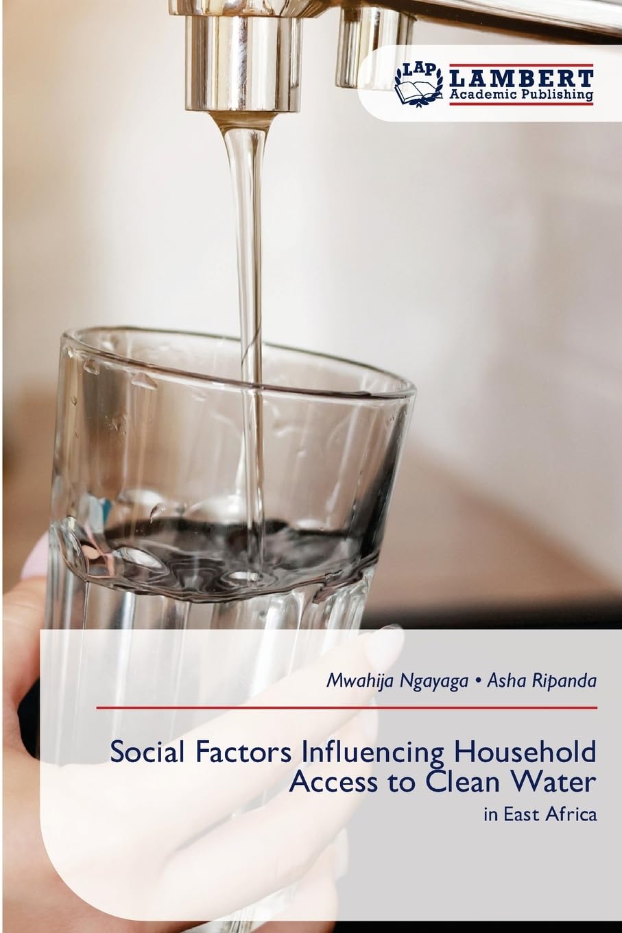 Social Factors Influencing Household Access to Clean Water: in East Africa