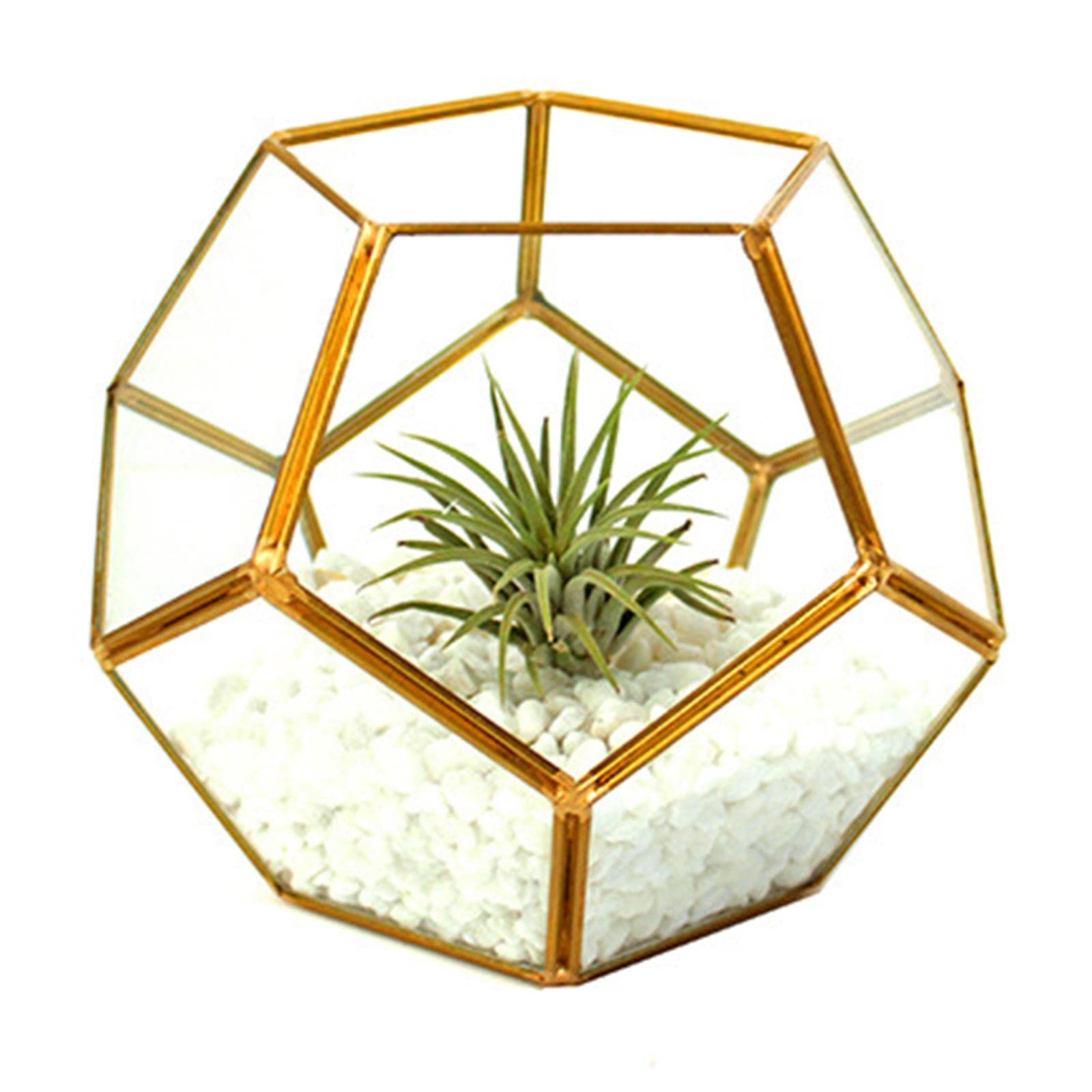 Geometric Terrarium Invernadero Decorativo de Vidrio Soporte para Plantas Arreglo Floral Diseño Moderno Adecuado para Sala de Estar Escrito, con Cobre
