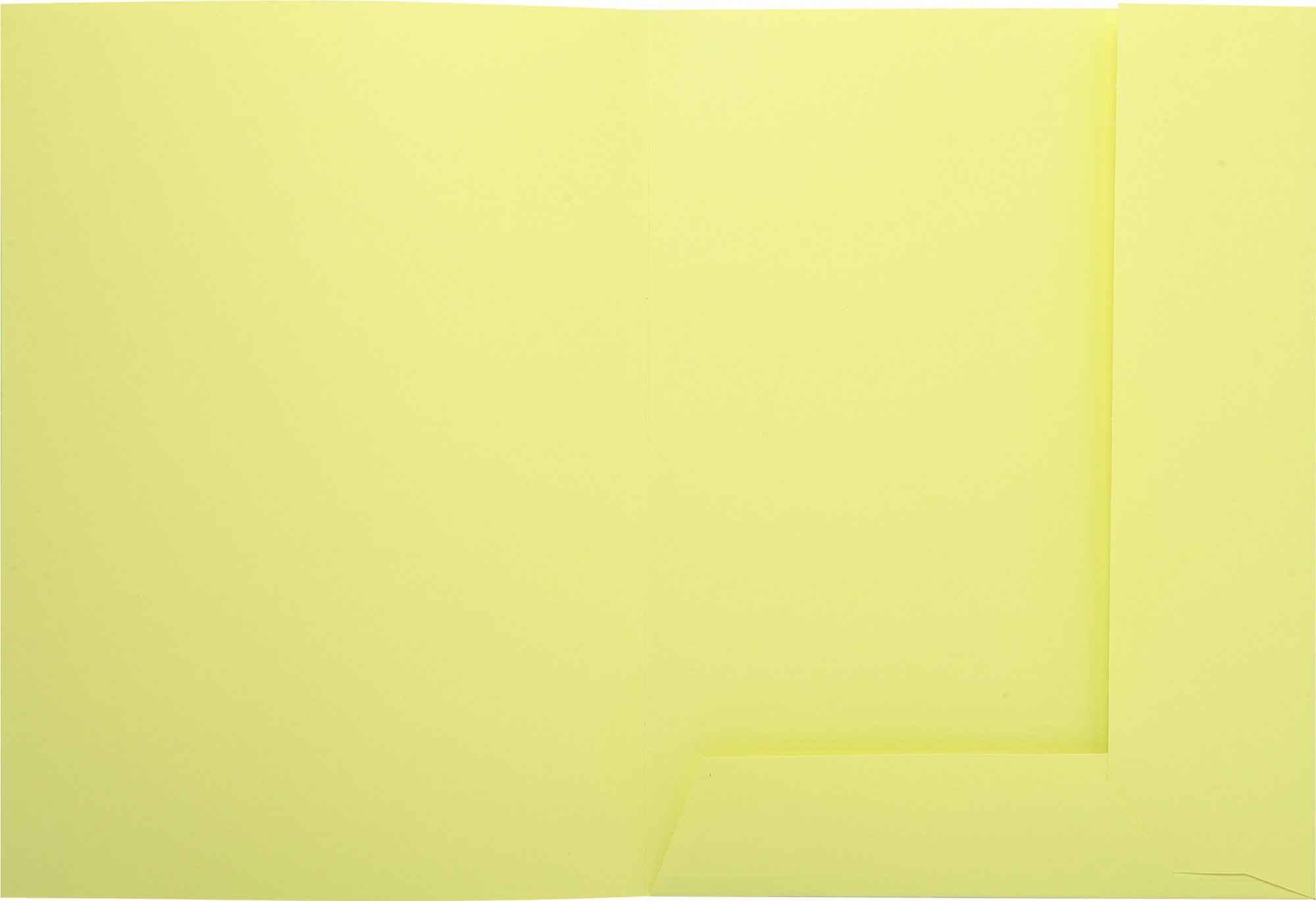Exacompta 335005E - Lote de 50 Subcarpetas Super 250 Impresas y con 2 Solapas, Color Amarillo