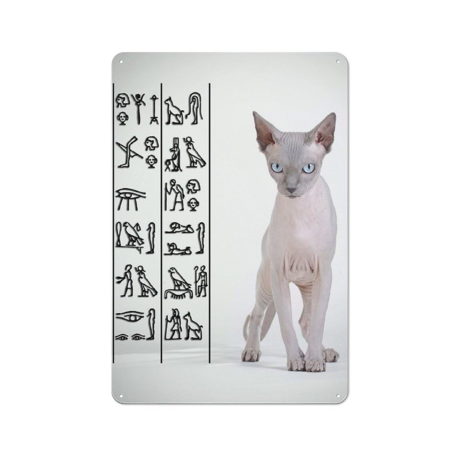 Junmoney Style-1 Rustic Tin Sign With Canadian Sphynx Cat Design 30X20cm, Casual Garden Room Wall Plaque For Shed, Garden Room, Porch Or Garage