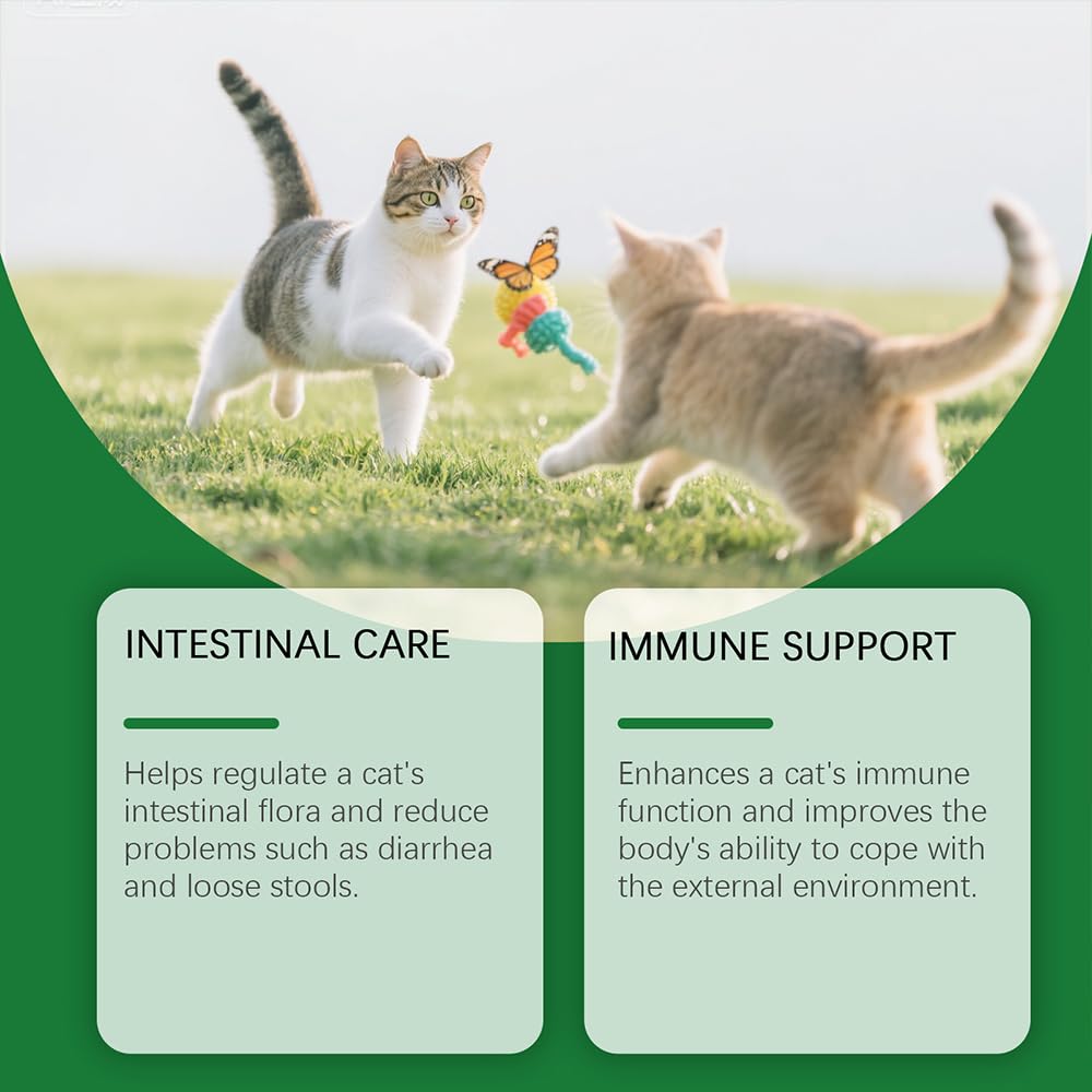 Fengyang® Gouttes Probiotiques pour Chats, Constipation Reltf pour Chats, Soulagement Doux De La Constipation, pour Une Digestion Saine