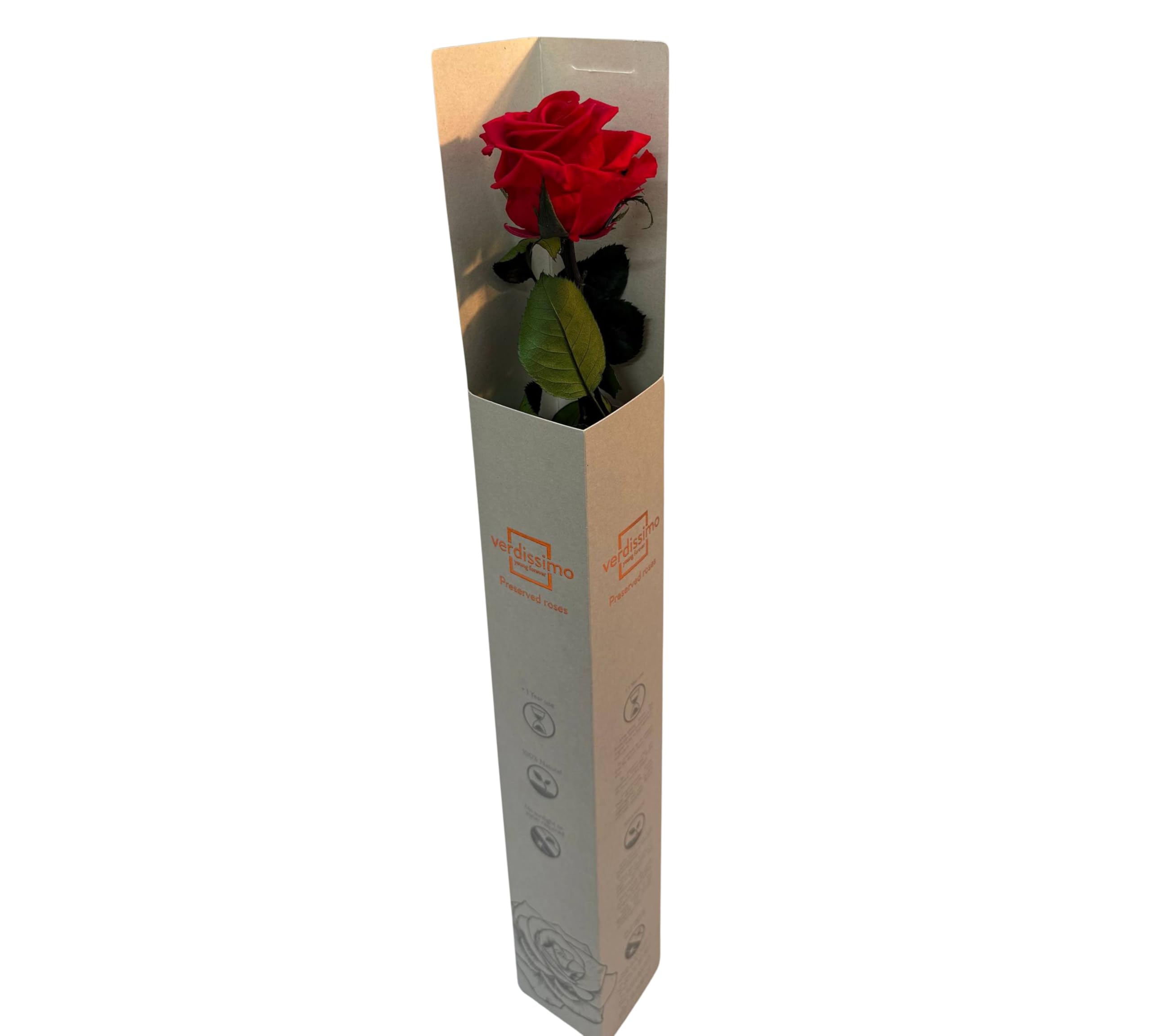 For Ever Love Fresh Cut Flowers Bouquet, Delivered Tomorrow, Red Rose and Lucky Bamboo With a Chocolate, Love Passion, Birthday, Anniversary, Mother's Day, Thinking of You (20 x 20 x 60)