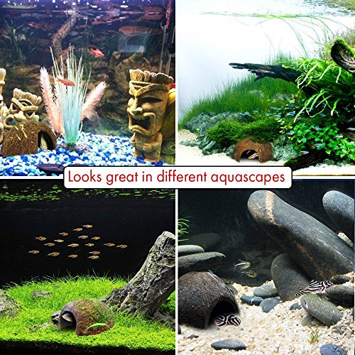 Image of SunGrow Coconut Hut for Crested Gecko, 5x3 Inches Reptile Climbing Hide, Leopard Gecko Tank Cage Habitat Accessories, Smooth-Edged Coconut Shell, for Exercise, Crawling, Perching and Basking Spot