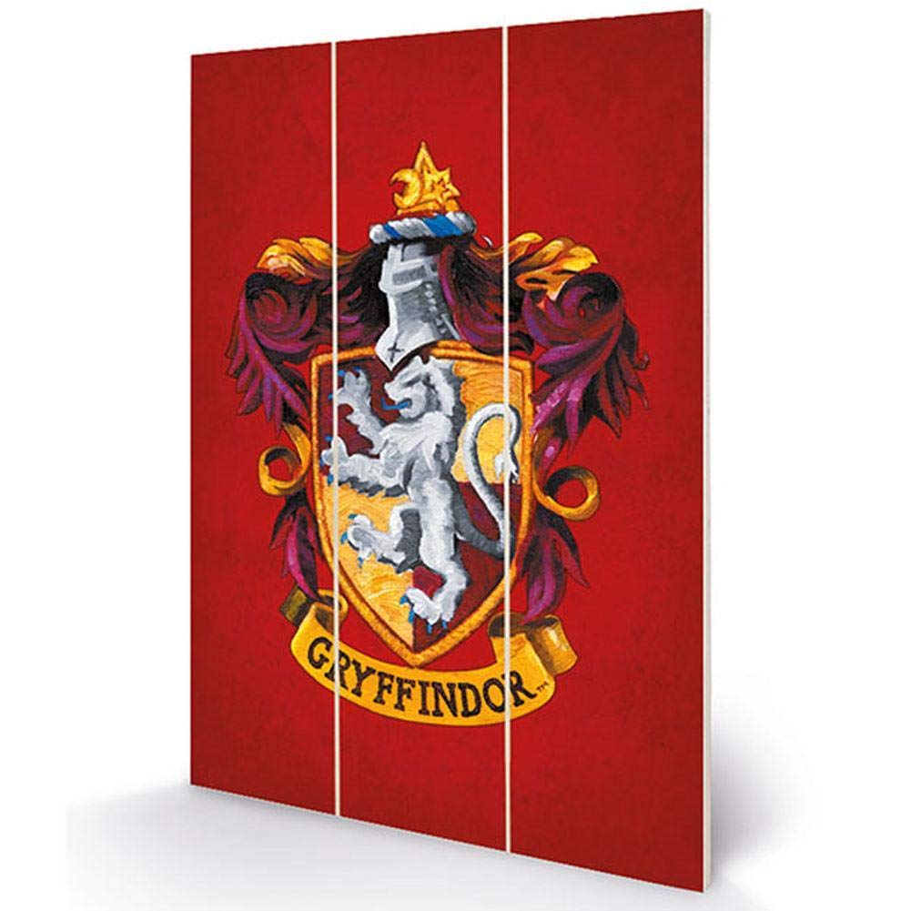 Harry Potter Mw12843p Wooden Wall Art, Multicoloured, 20 X 29.5Cm
