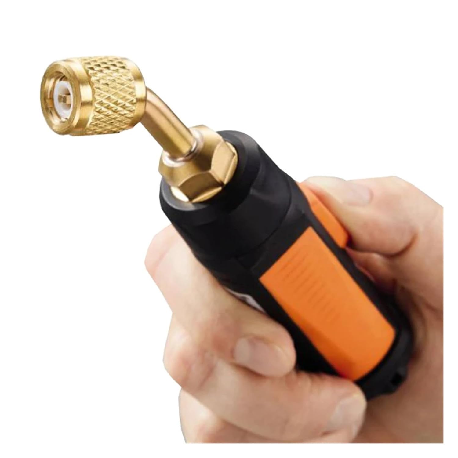 eアファン ベイルプレミアムエッセンス BeiR 30mL エクソソーム配合