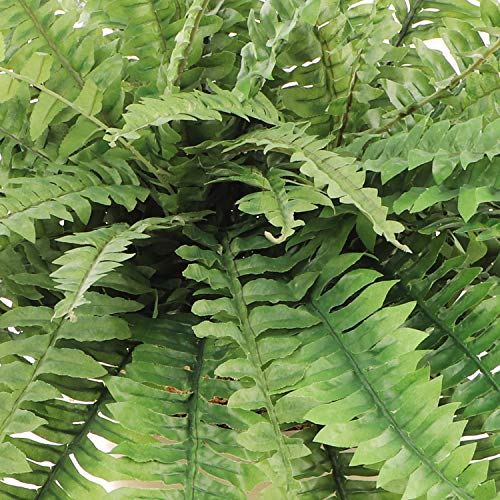 Larksilk Boston Fern Artificial Plants - UV Resistant, Outdoor or Indoor House Plant, Hanging Basket or Planter, 34" Inch Diameter 50 Fronds