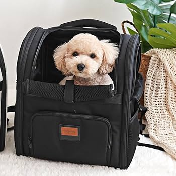 【 キムメリ 】 ssoook フロントバッグ Lサイズ 犬 リュック 2025.04.20 SSOOOKのバッグが届いた！ | 愛犬と私。