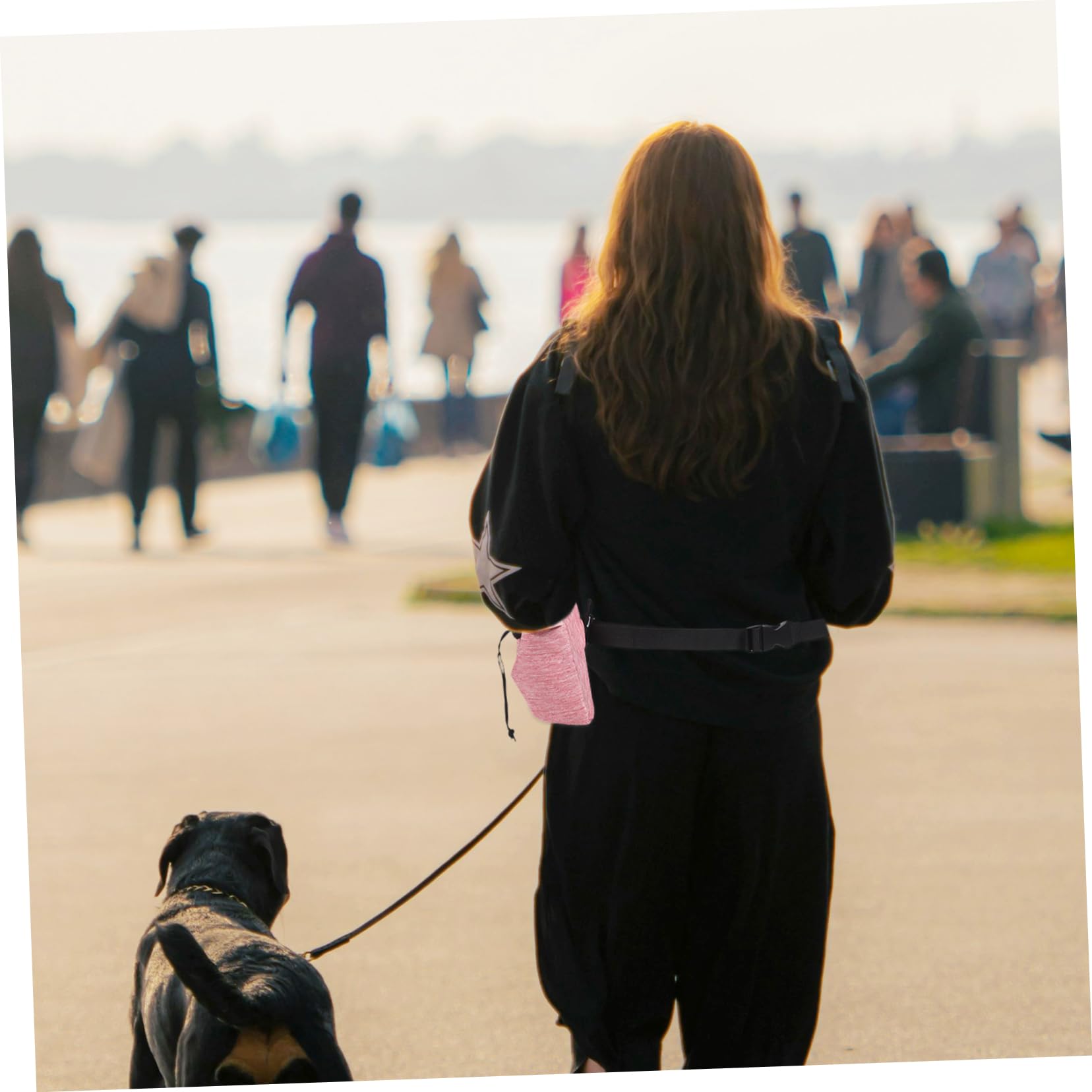 INOOMP 4piezas Bolsa De Entrenamiento para Perros De Oxford Riñonera Portátil para Snacks y Accesorios para Paseos y Adiestramiento De Cachorros