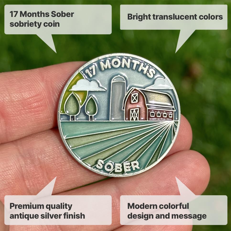 Image of The Achieve Mint 17 Months Sober Token | Seventeen Months Sober Chip | Non-AA Gift, Non-Religious Medallions for Men and Women Celebrating Sobriety