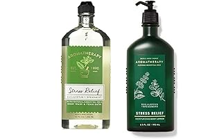 Bath and Body Works Eucalyptus Spearmint Stress Relief Essentials 2 Piece Set