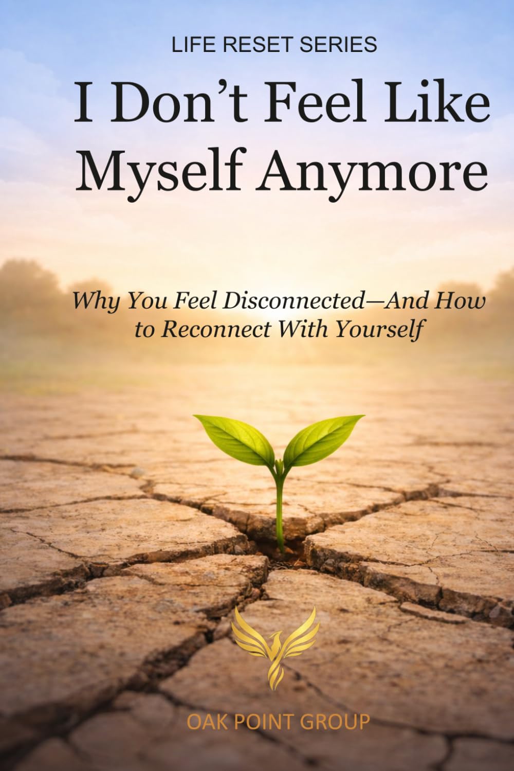 I Don’t Feel Like Myself Anymore: Why You Feel Disconnected — And How to Reconnect With Yourself (LIFE RESET SERIES)