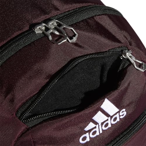 Image of Striker Team Sports Backpack for soccer and more, workout bag for men and women