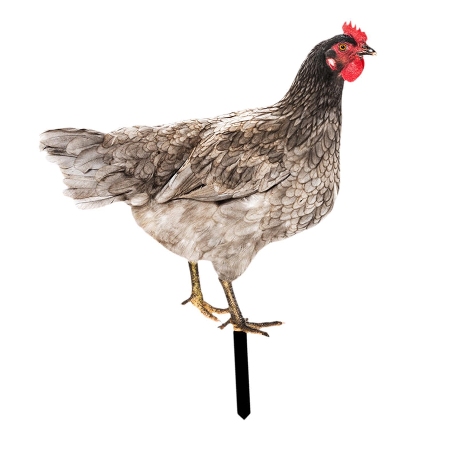 Quxvuis Chicken Garden Statue Stake Outside Outdoor Decor Inspires Smiles With Unique Rooster Yard Art Sculpture Presentation Acrylic Animal Stake Figurine, Style B