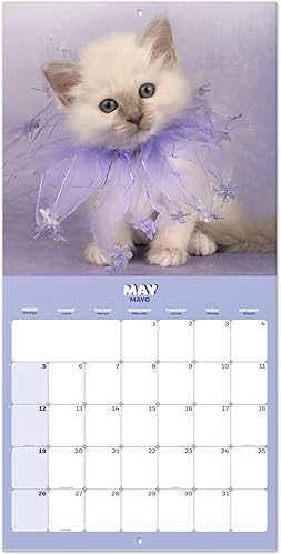 Miniatura 5 de Calendario de pared de gatos 2024 de 12 x 12 pulgadas, libre de plástico FSC, comienza la semana el domingo, planificador de 12 meses, calendario de