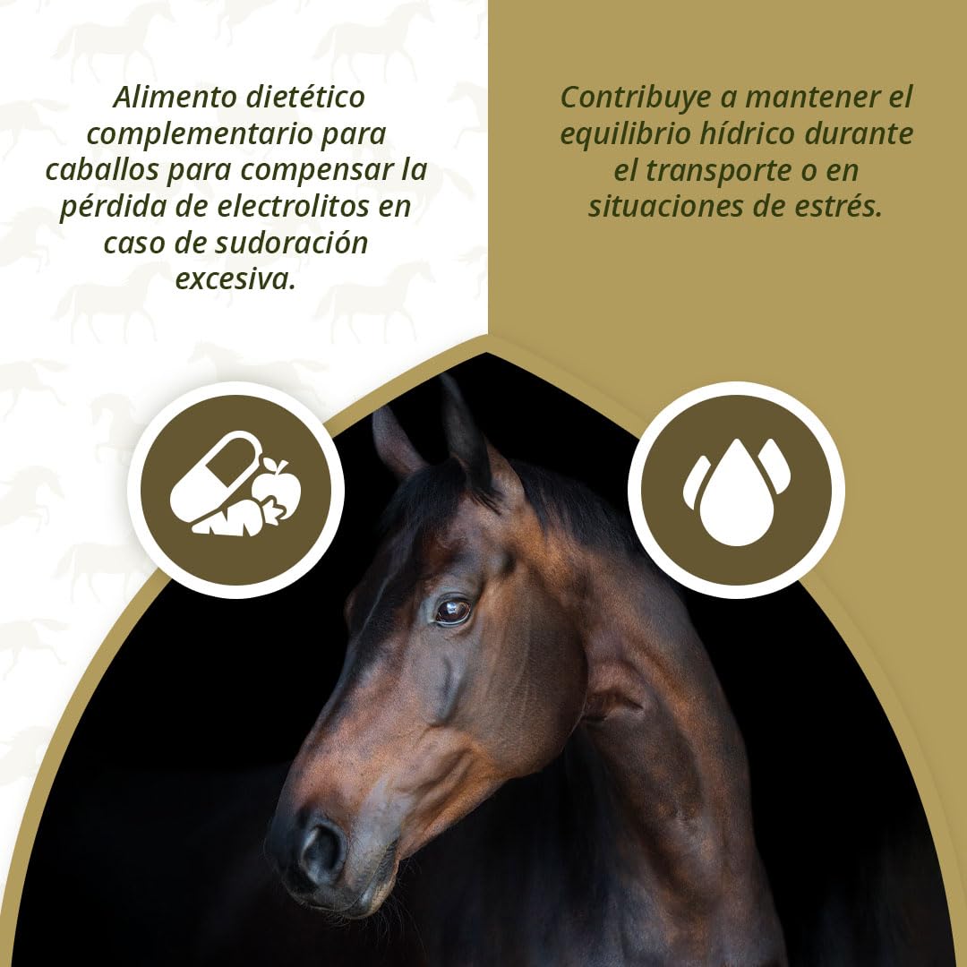 Caballo electrolitos Poeder pone B2 Emmer 2,5 kg