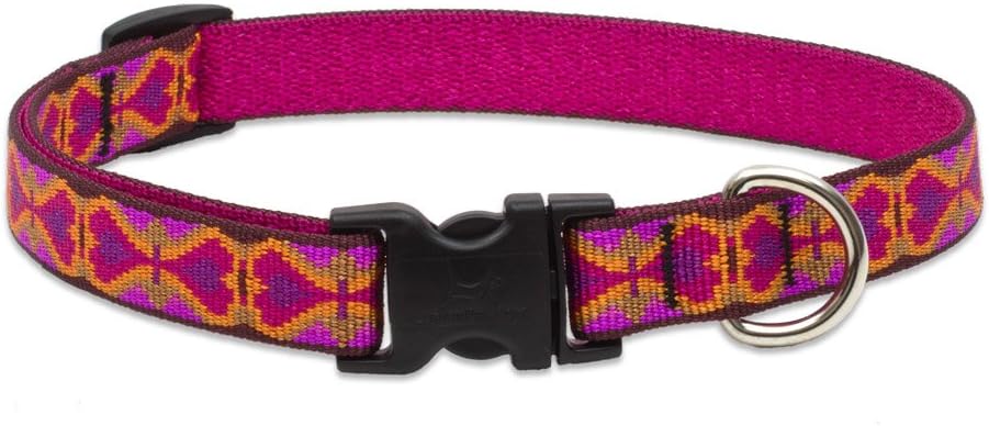 LupinePet Originals 3/4" Heart 2 Heart 13-22" Adjustable Collar for Medium and Larger Dogs
