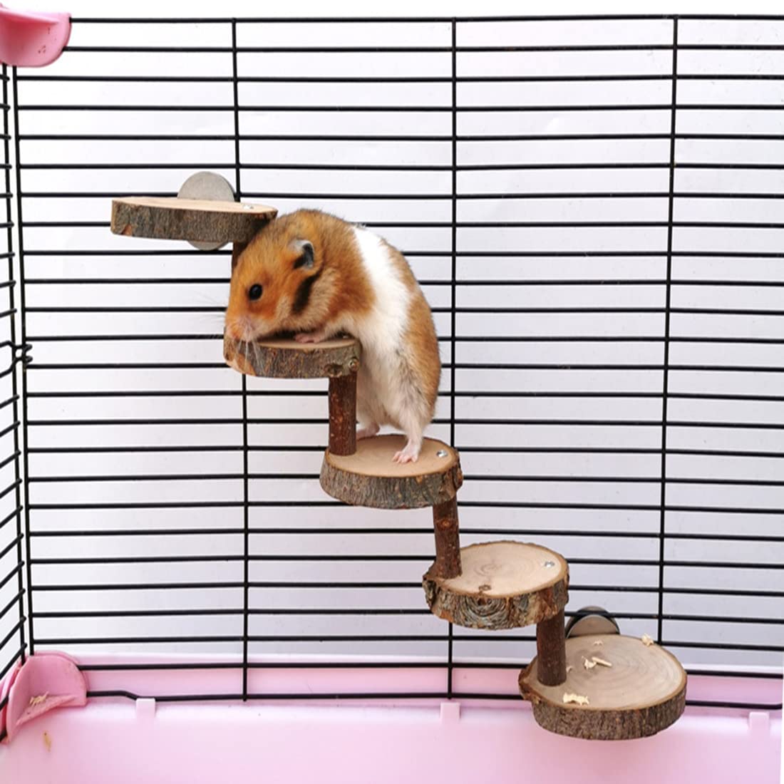 Tunnels en ladders voor knaagdieren - natuurlijk speelplezier