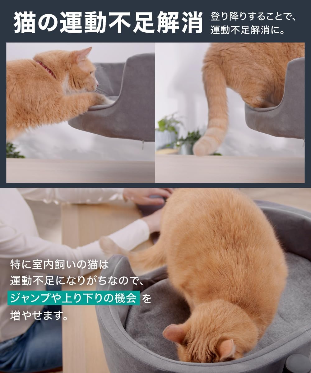 LOE(ロエ) 【日本企画】 新発想 キャットアーム 猫ベッド｜省スペース Amazon.co.jp: LOE(ロエ) 【日本企画】 新発想 キャットアーム 猫