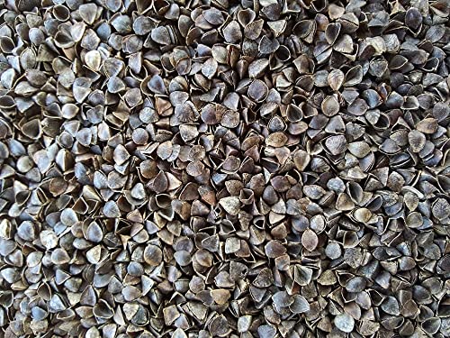 Image of Buckwheat Hulls Round Bolster Pillow | Reduced Stress on Spine, Neck Pain | & Effective Support for Side and Back Sleepers | (Moonlight Mist)