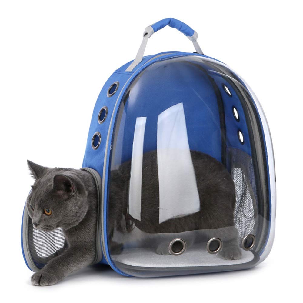 Chat sac à dos pour calmer l'anxiété du chat et éviter les cages lourdes