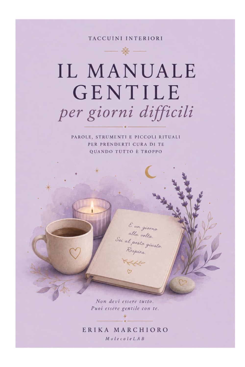 IL MANUALE GENTILE PER GIORNI DIFFICILI: Parole, strumenti e piccoli rituali per prenderti cura di te quando tutto è troppo (TACCUINI INTERIORI)