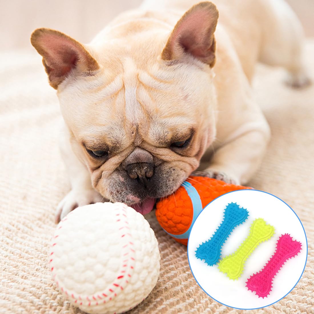 Giocattolo per cani indistruttibile, osso da masticare per cani, sapore Giocattolo per cani indistruttibile, osso da masticare per cani, sapore
