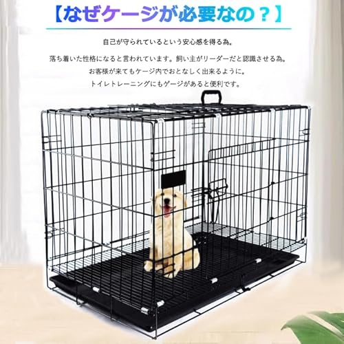 GL Glint 犬用ベーシックケージペットケージ L ljb161-l の商品画像 2