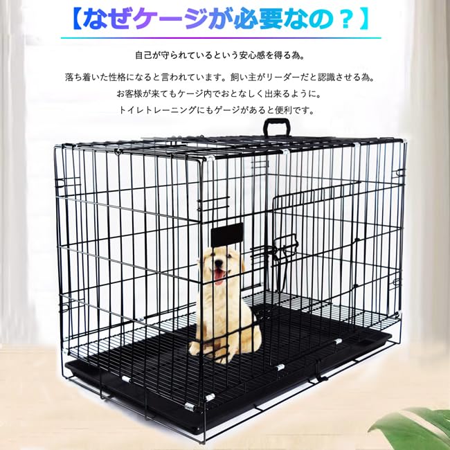 Amazon | 犬用ベーシックケージペットケージ 犬 ゲージ L