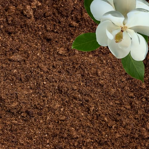 GARDENWISE Peat Moss for Plants Organic Sphagnum Peat Moss for Orchids Terrariums Seed Starting Reptiles & Potting Soil Mix (15 quarts)