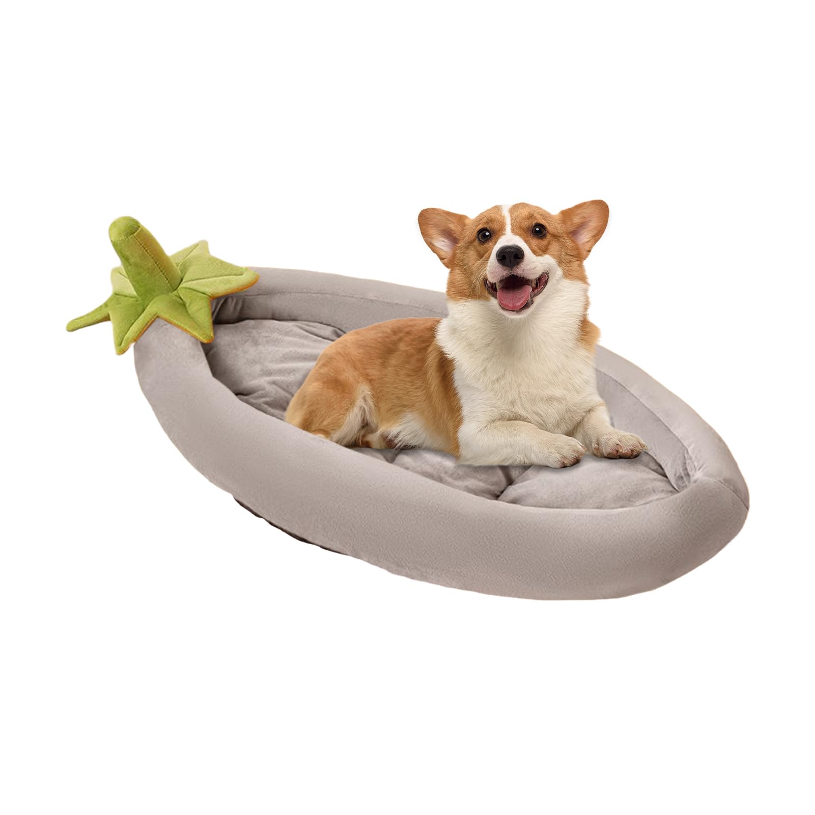 Lit pour chiens chaud aubergine pour protéger du sol froid en chenil