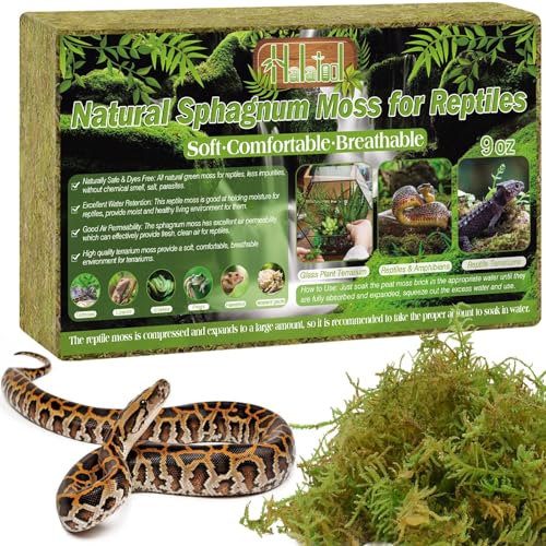 Halatool 260 g Premium Sphagnum Moos Natürlicher Terrarienmoosblock für Reptilien (Leopardgeckos Schlangen Hamster Schildkröten Frösche Echsen Salamander) Sicher für Pflanzen & Tiere