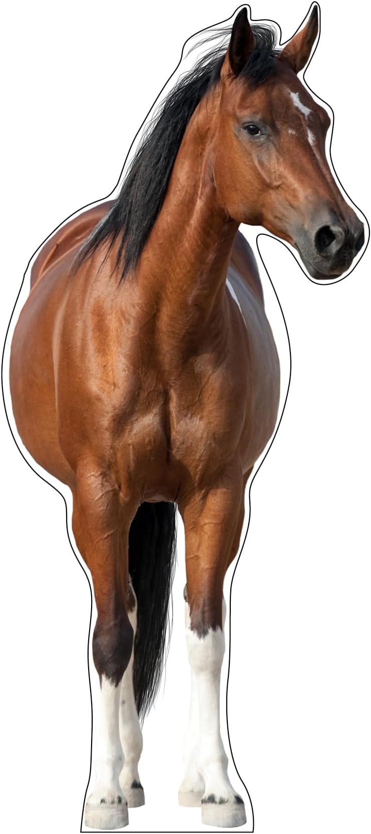 Cardboard People Horse and Jockey Standin Life Size