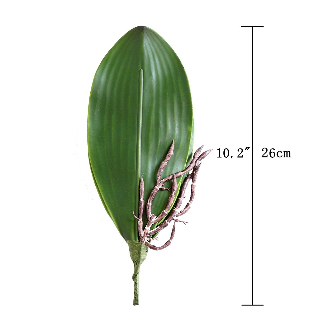 Amazon｜Htmeing人工緑の胡蝶蘭のオーキッドは花のガーデンの盆栽の