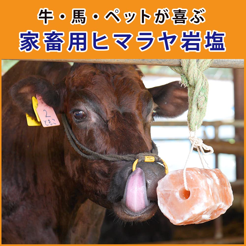 Amazon.co.jp: 梅研本舗 岩塩 アニマルソルト 家畜用岩塩 家畜用