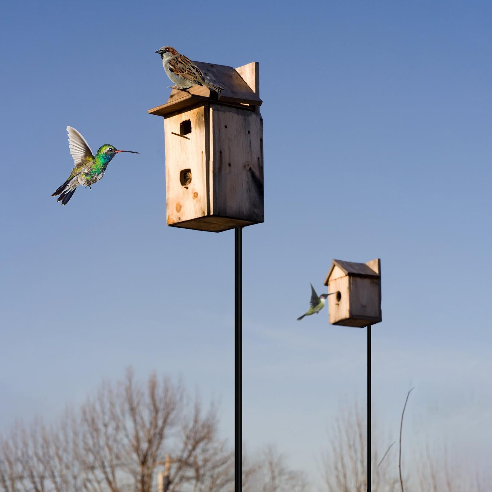 Futterstation für - Futterstation für Schwerlast-Futterstation - Multifunktionale mentale Schale für Garten, Haustier für Hinterhofbedarf