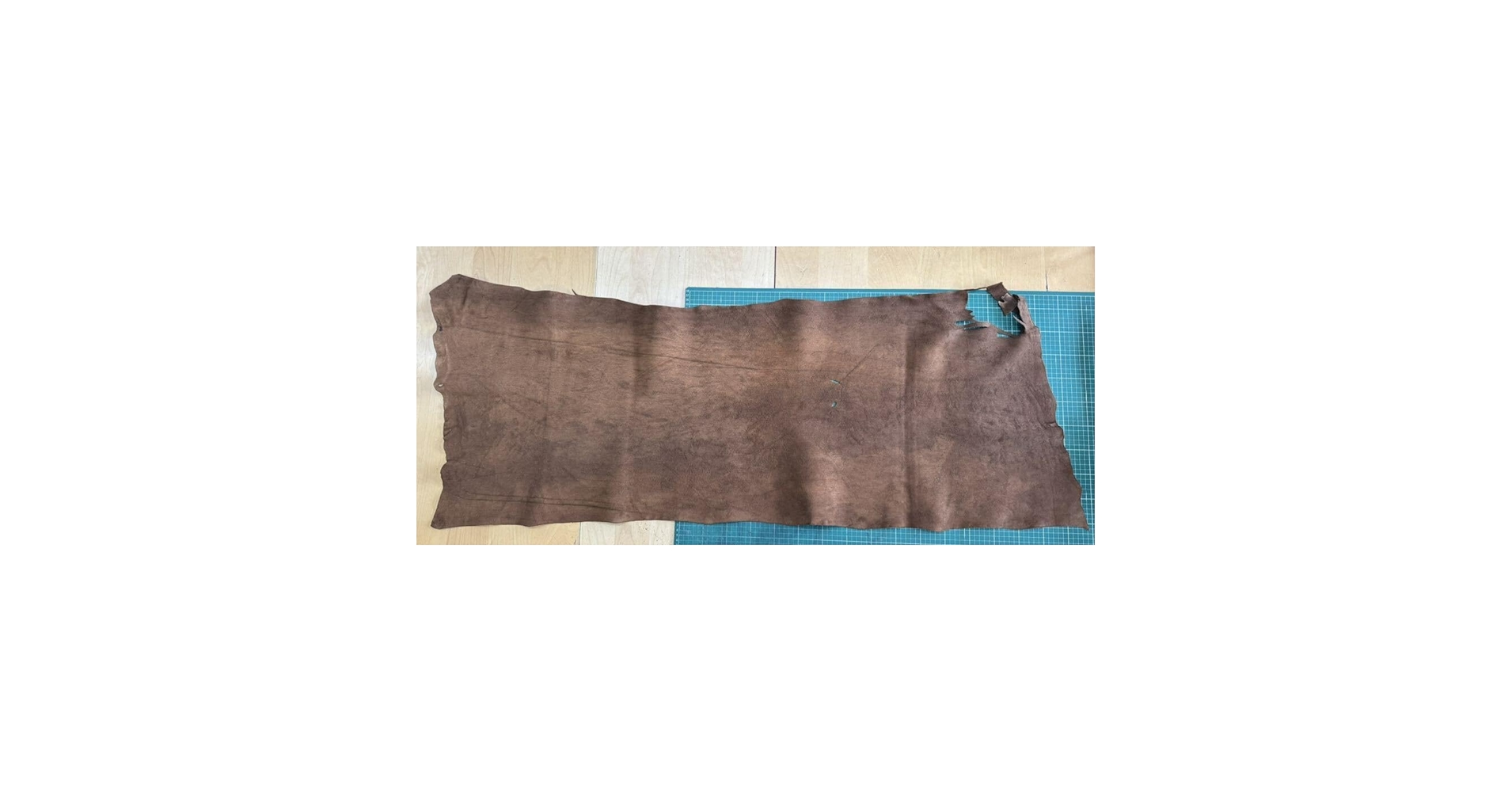 Amazon.co.jp: 超革クジラの革 鯨の革 ホエールレザー whale