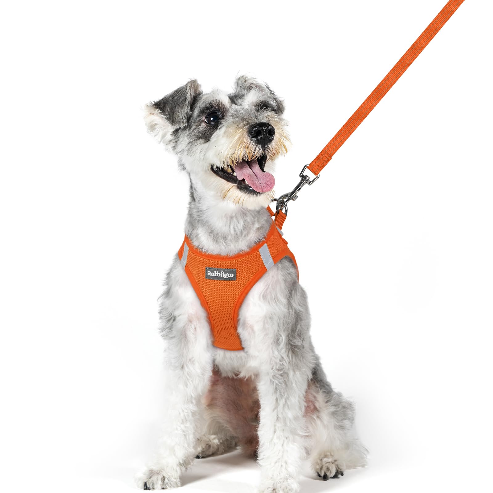 rabbitgoo Dog Harness Medium Sized and Leash Set, Step-in Puppy Pet Vest