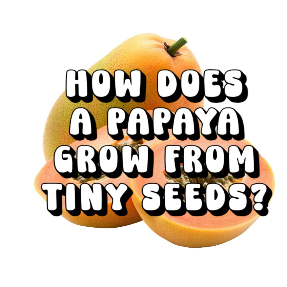 How Does a Papaya Grow From Tiny Seeds?