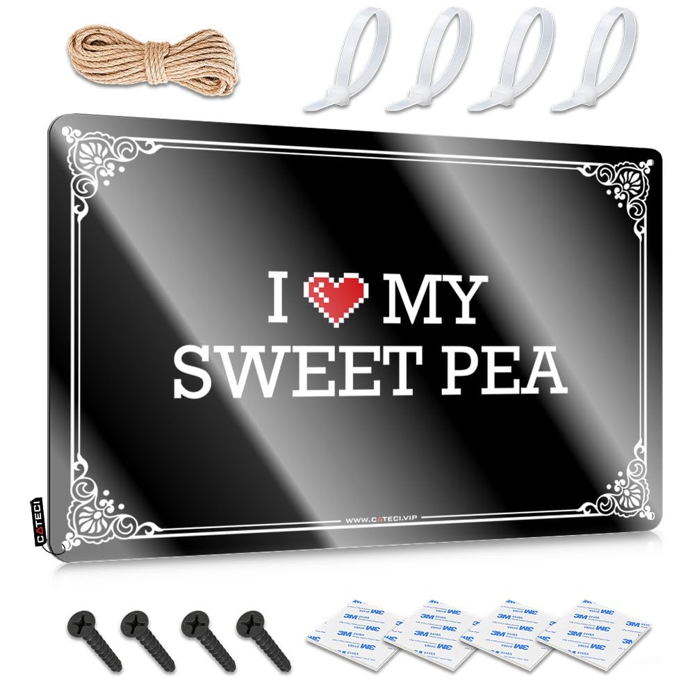 Décoration d'intérieur humoristique pour une chambre de style rustique chaleureuse