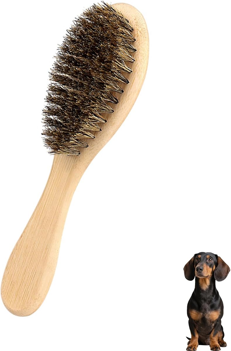 Soft Boar Bristle Dog Brush for Short Haired, Ideal Pet Hair Brush | Gentle Deshedding & Grooming Tool, Puppy Essentials for Grooming and Shedding